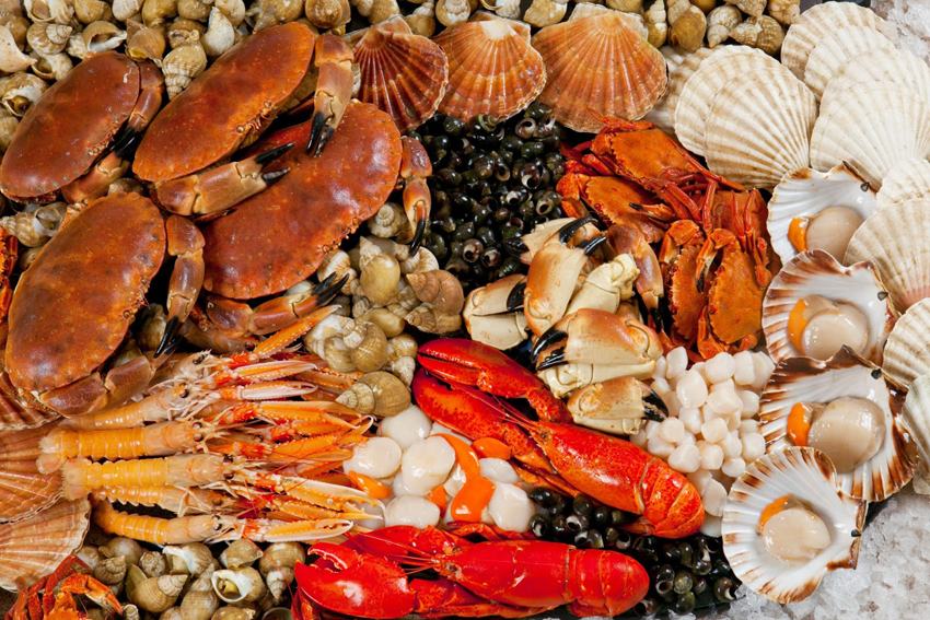 ảnh chụp chợ hải sản sầm sơn