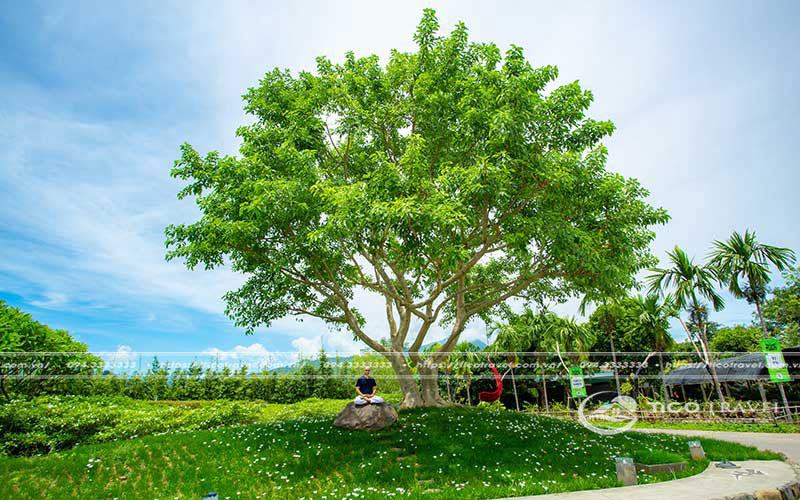 Ảnh toàn cảnh An Lạc Resort