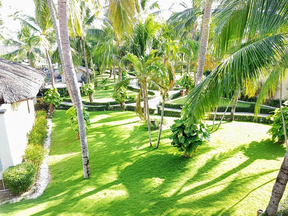 của blue ocean resort