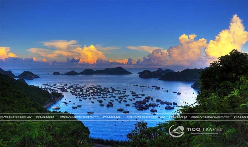 Toàn cảnh Cát Bà Island Resort & Spa