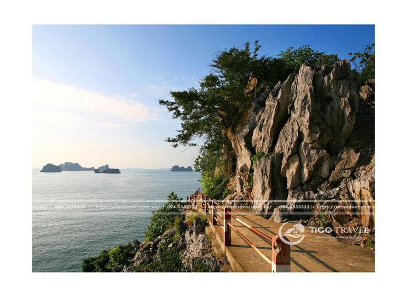 Toàn cảnh Cát Bà Island Resort & Spa