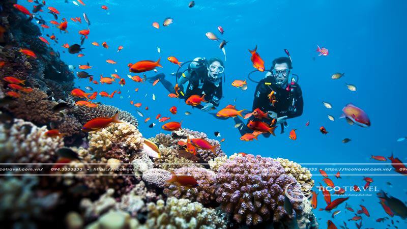 Hoạt động giải trí tại Furama Đà Nẵng