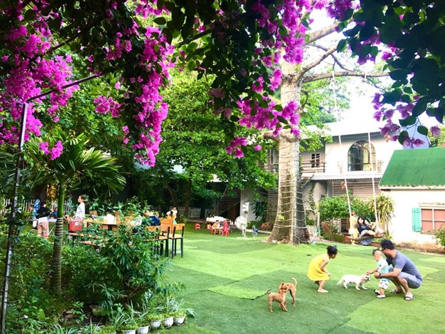 Review chi tiết tràng an secret garden resort ninh bình