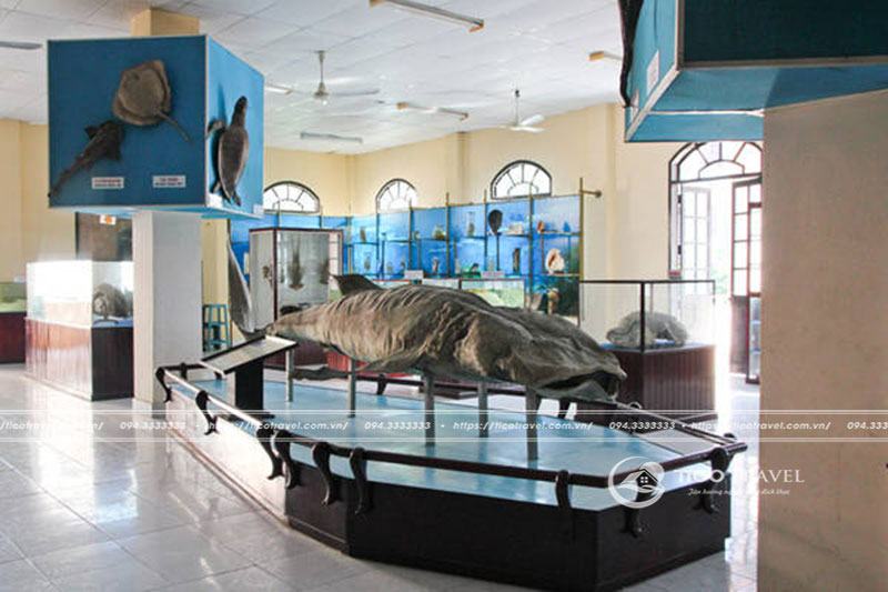 ana mandara nha trang
