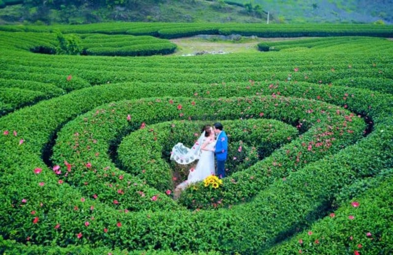 hobbiton mộc châu
