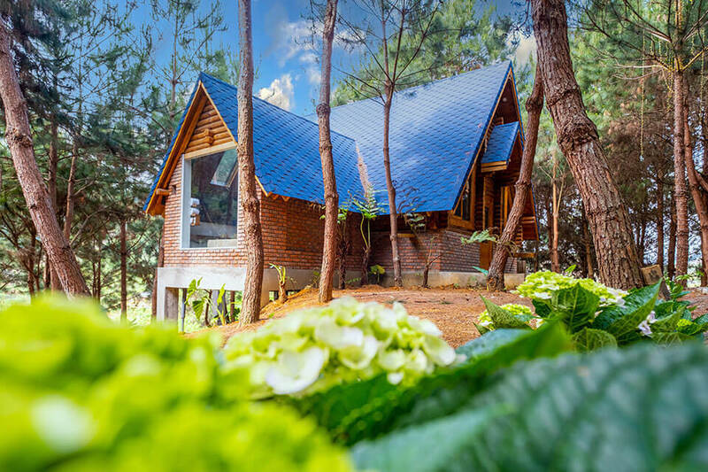 The Nordic Village Mộc Châu - Làng Bắc Âu giữa lòng Tây Bắc