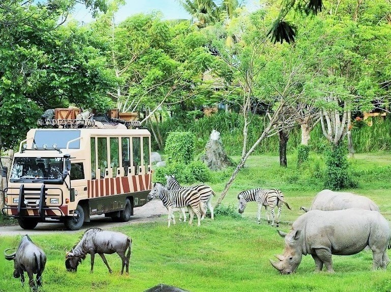 Tropicana Resort Phú Quốc - Ốc đảo xinh đẹp giữa lòng Đảo Ngọc 
