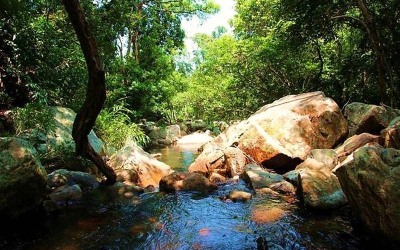 Tọa lạc bên bờ biển Ninh Chữ thơ mộng, Aniise Villa Resort nổi tiếng với vẻ đẹp tráng lệ và kiều diễm đã thu hút đông đảo khách du lịch ghé đến mỗi năm.