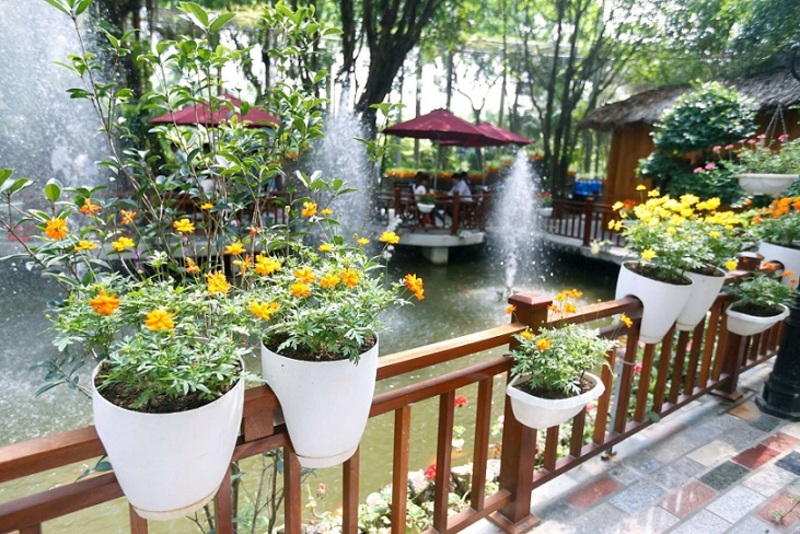 review sông hồng resort vĩnh phúc
