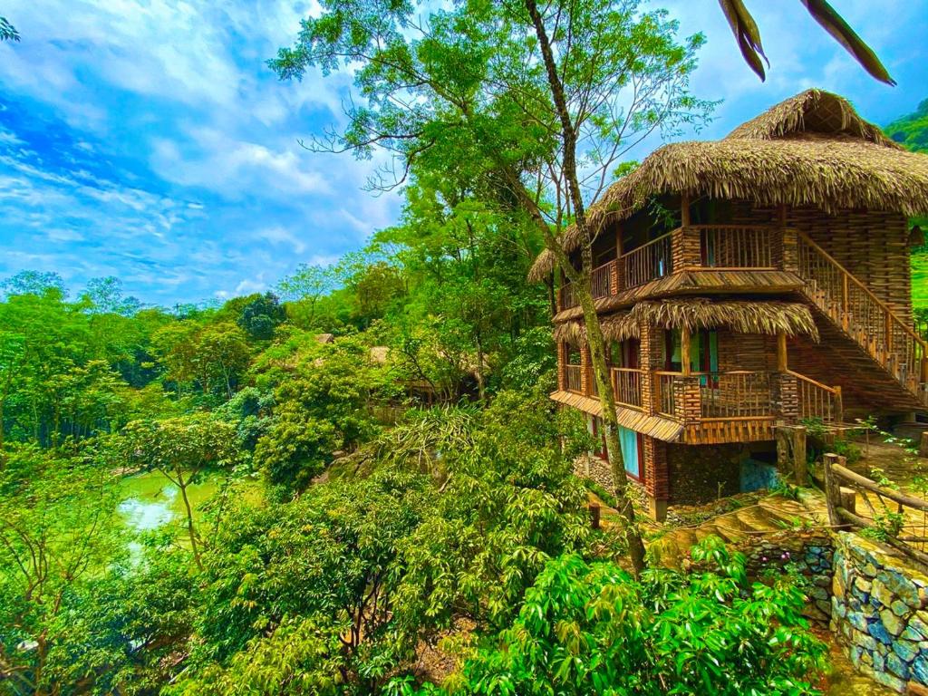 Pù Luông Jungle Lodge - Khu nghỉ dưỡng mát lành giữa thiên nhiên núi rừng