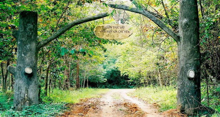 Forest Floor Lodge - Chốn tiên cảnh tọa lạc tại rừng xanh
