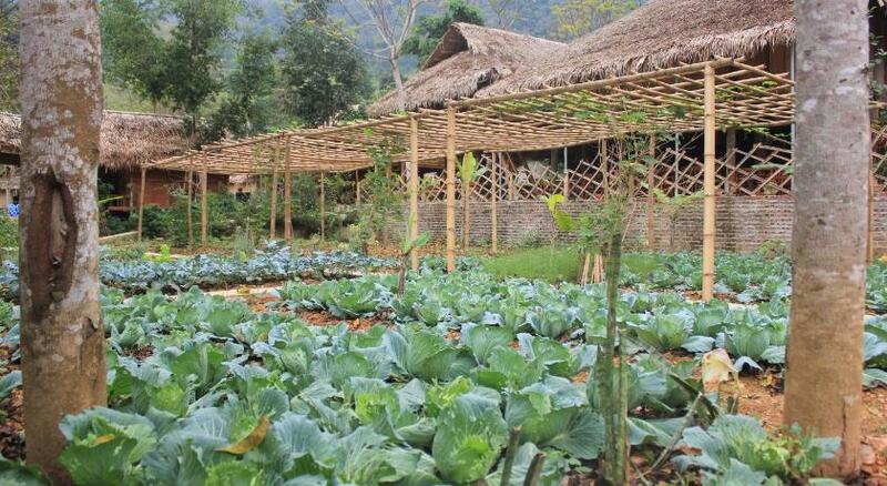 Pu Luong Riverside Lodge - Không gian nghỉ dưỡng dân dã xứ Thanh