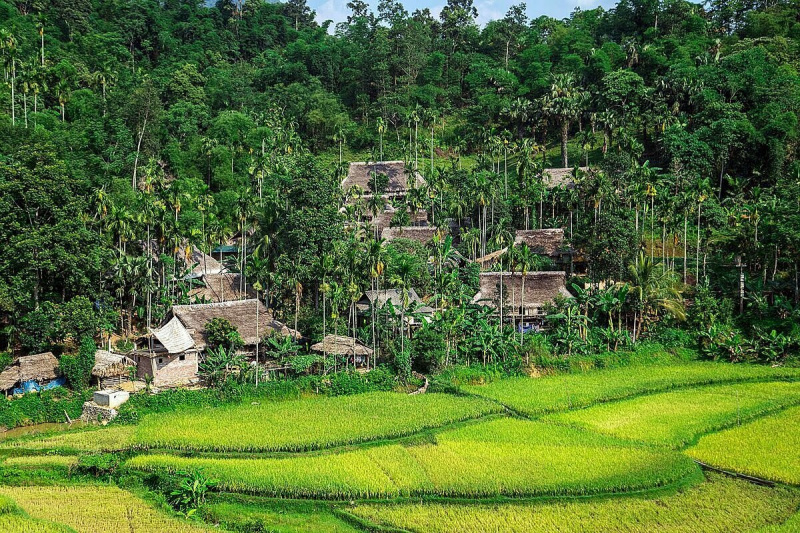 Pù Luông Jungle Lodge - Khu nghỉ dưỡng mát lành giữa thiên nhiên núi rừng
