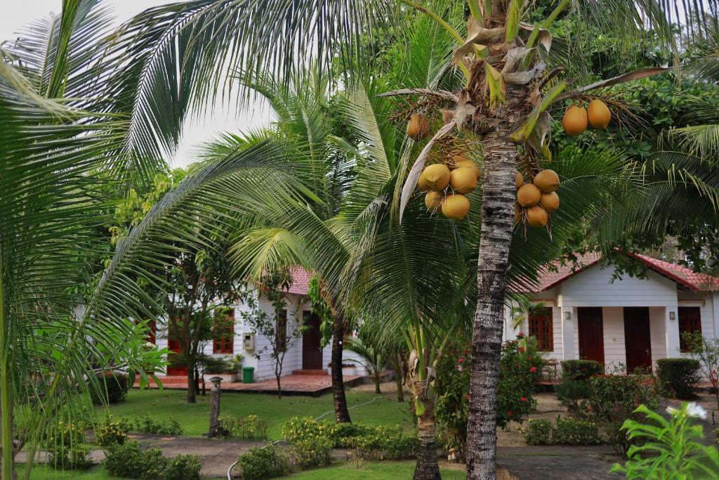 Saint Mary Beach Resort - Chốn bình yên tọa lạc trên bãi biển đẹp