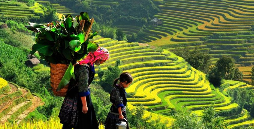 Tour du lịch tại Sapa Horizon Hotel