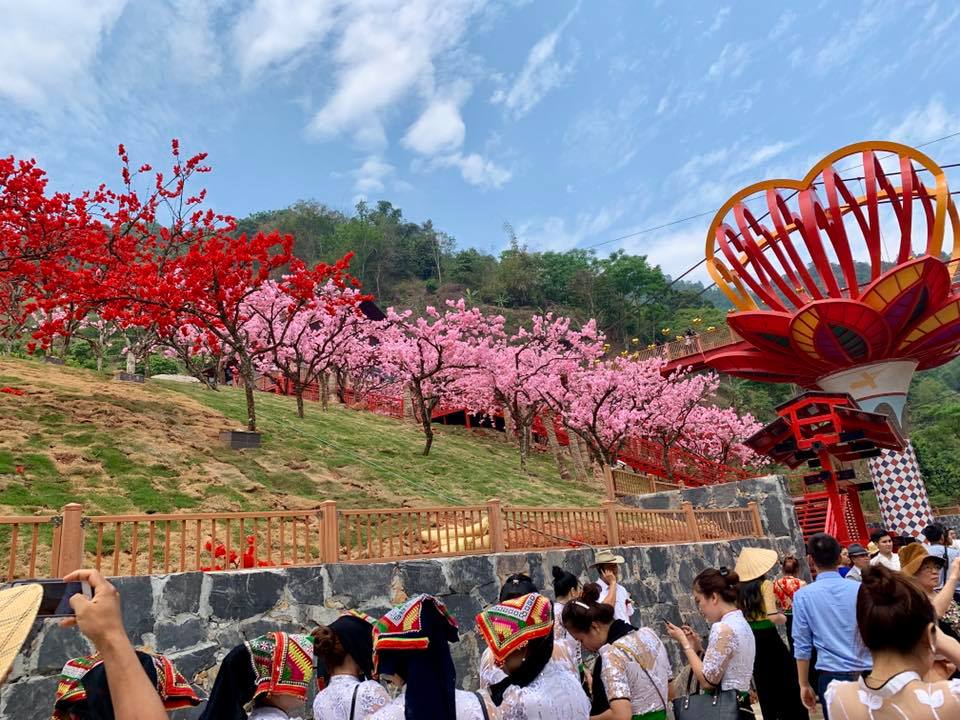 tới khách sạn sao xanh