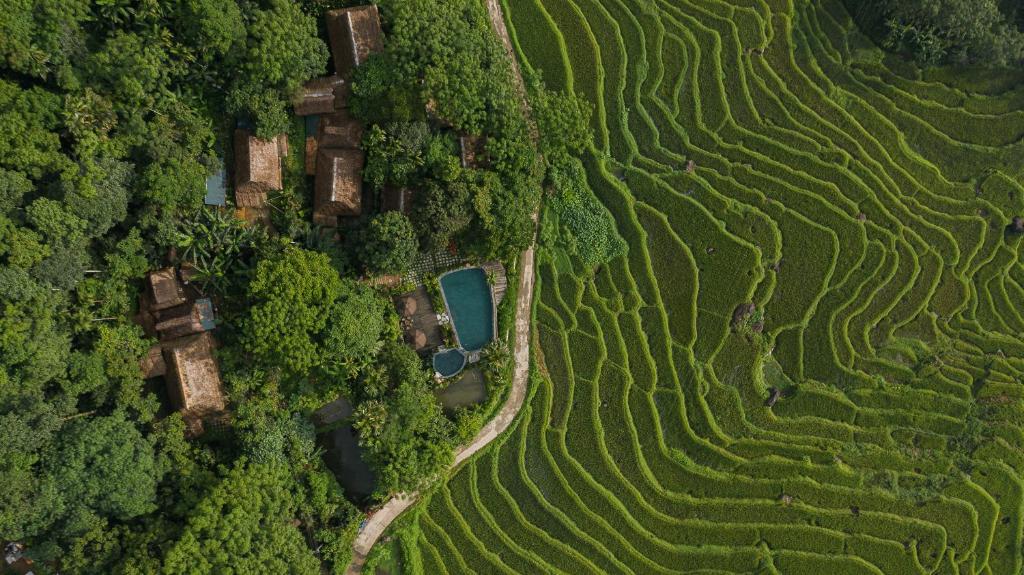 Pù Luông Home – Chốn nghỉ chân không thể bỏ lỡ