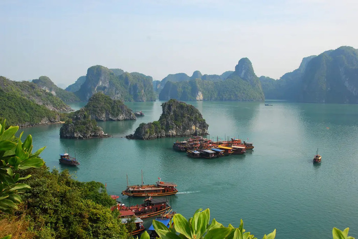 du thuyền Emotion Cruise