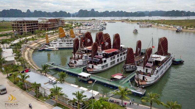 Pelican Halong Luxury Cruise - Điểm sáng giữa vùng Vịnh