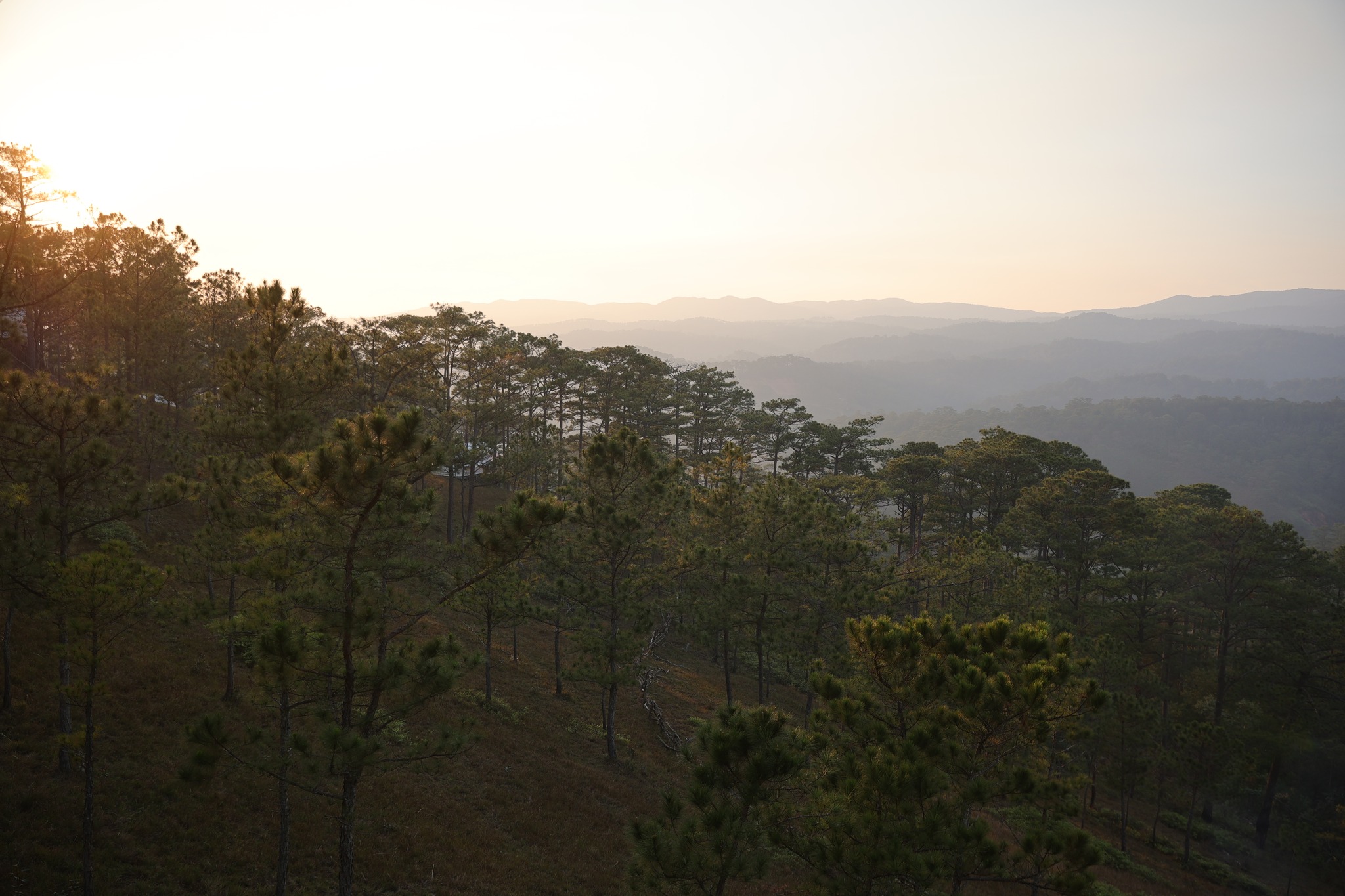 laan resort đà lạt