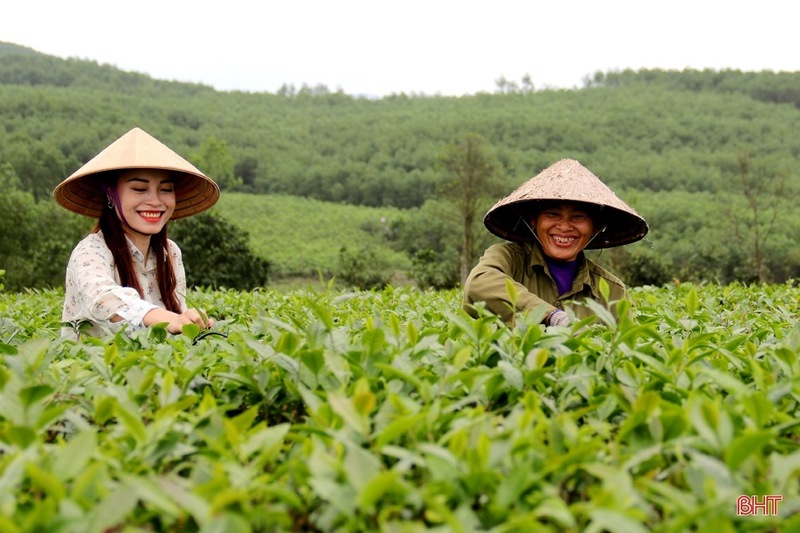 Mường Thanh Hà Tĩnh - Nét đẹp hiện đại giữa thiên nhiên