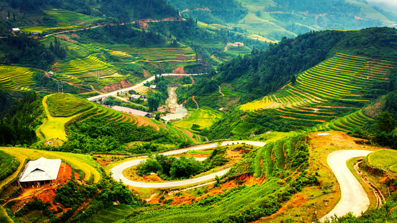 Tour tham quan du lịch