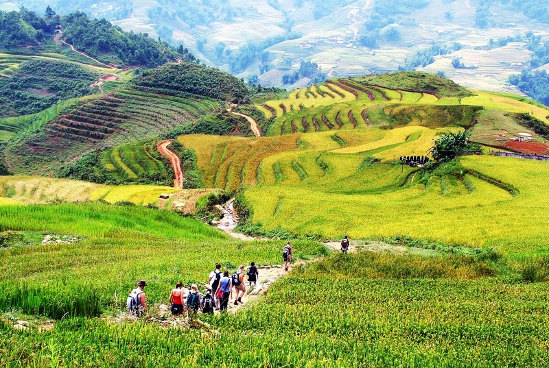 Bản Lao Chải - Tả Van
