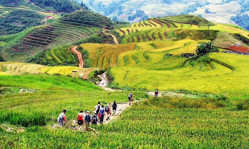 Thung lũng Mường Hoa