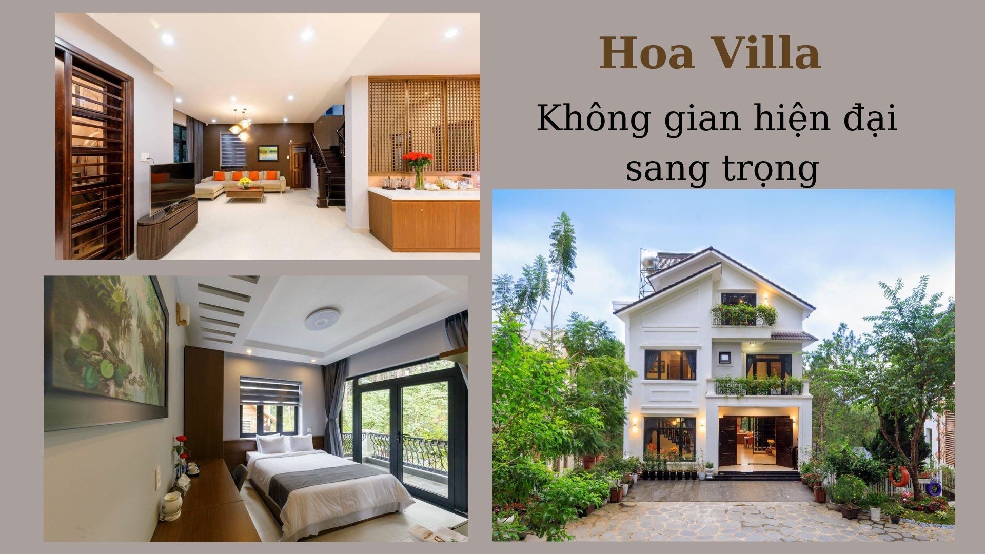 Hoa Villa Đà Lạt