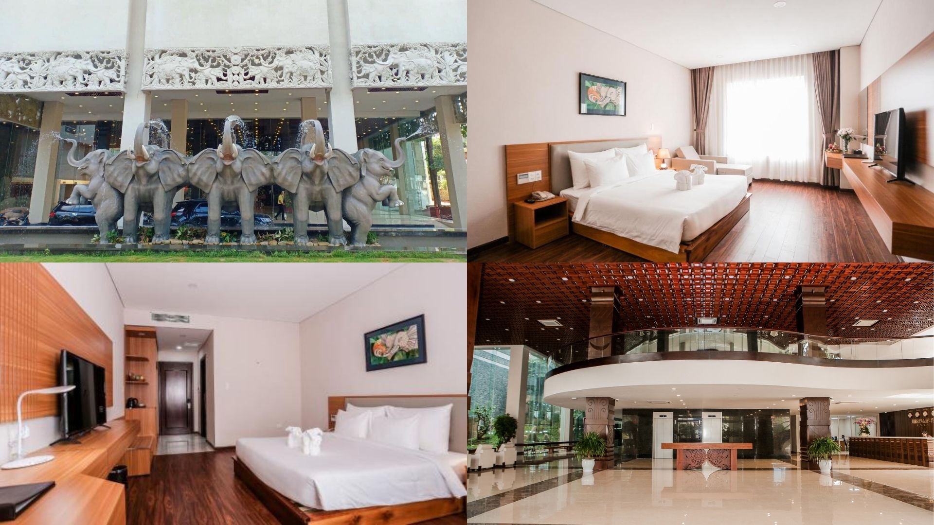 Elephants Hotel Buôn Ma Thuột