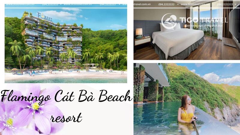 Top 9 resort Cát Bà đẹp giá rẻ có hồ bơi view biển lãng mạn