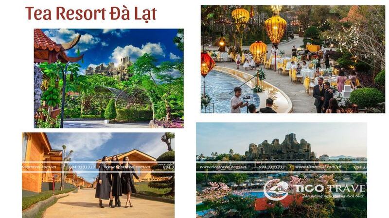Tea Resort Bảo Lộc