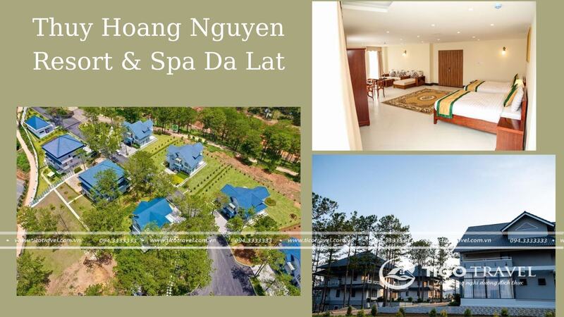 Thuy Hoang Nguyen Resort & Spa