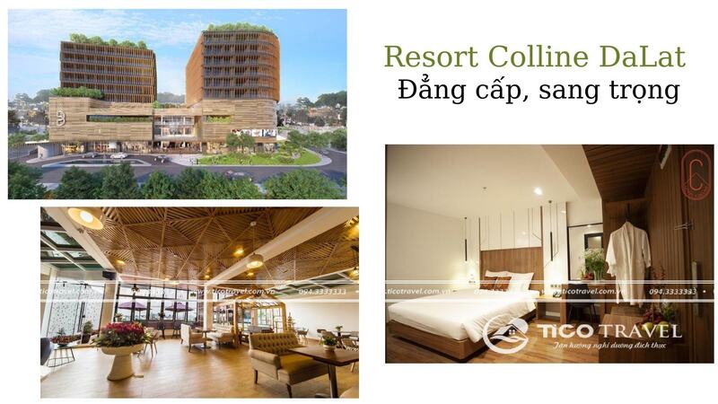 Colline Đà Lạt
