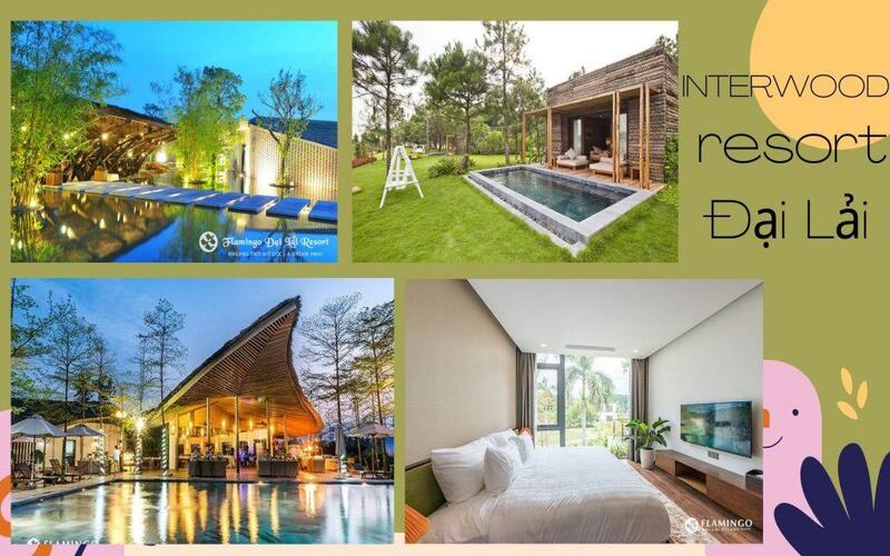 Top 5 resort Đại Lải đẹp nhất đẳng cấp 3-4-5 sao đáng để nghỉ dưỡng