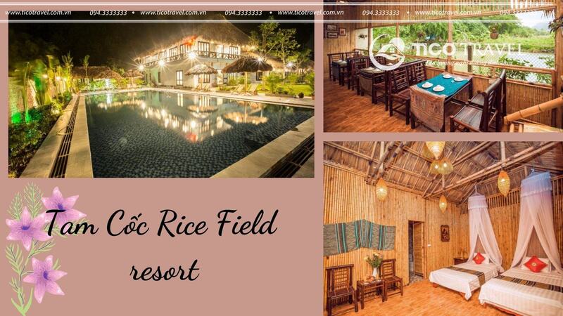  Resort Ninh Bình Tam Cốc Rice Field