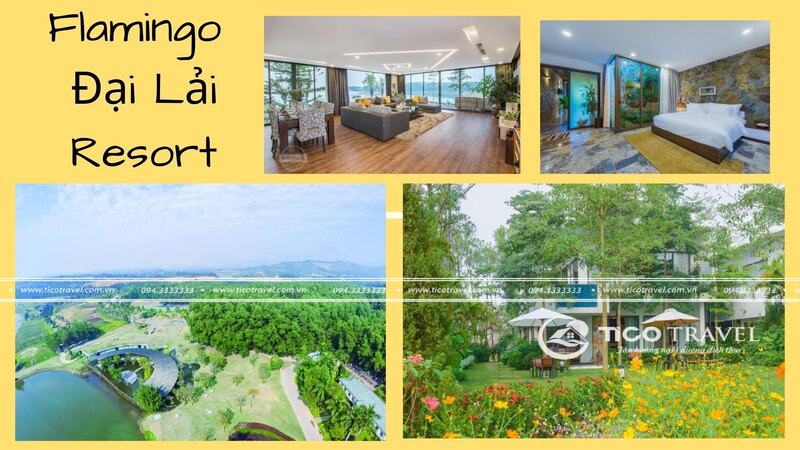 Top 10 Resort Tam Đảo có bể bơi view đẹp giá rẻ thích hợp nghỉ dưỡng