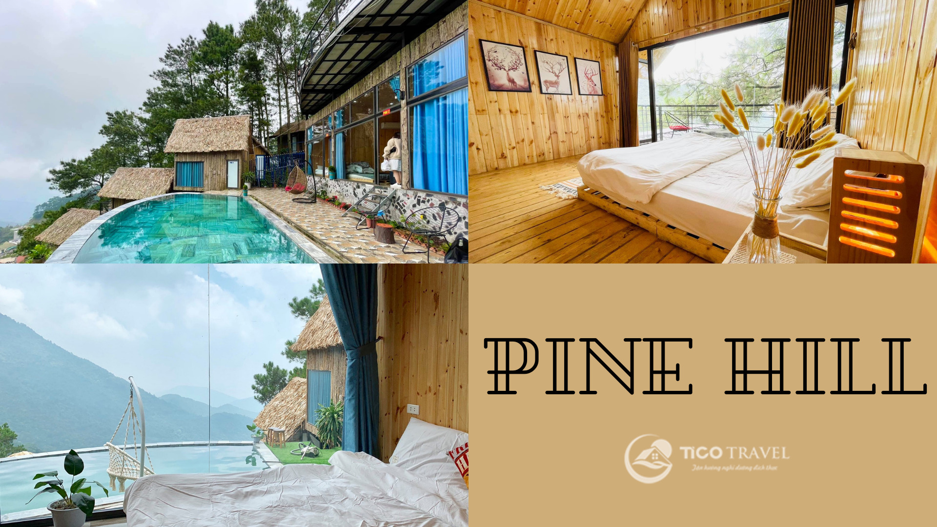 Villa Tam Đảo Tico 31 - Pine Hill 