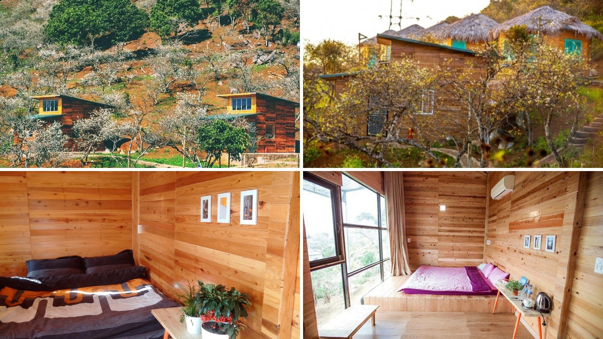 V House