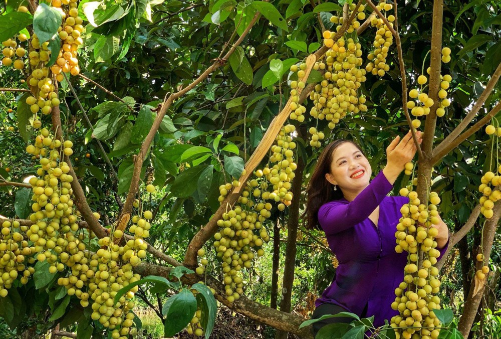 7 khách sạn Bình Dương tốt nhất, giá rẻ với voucher 20%