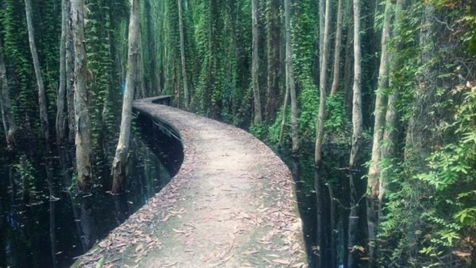 Resort gần Sài Gòn: nghỉ dưỡng bình yên bên chốn hoa lệ