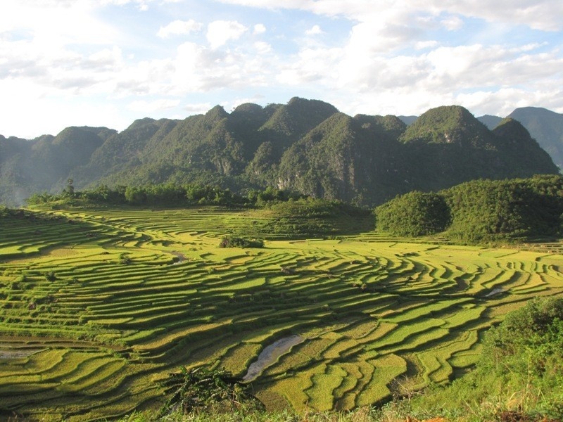 Top 6 resort Pù Luông: Hành trình nghỉ dưỡng trọn vẹn