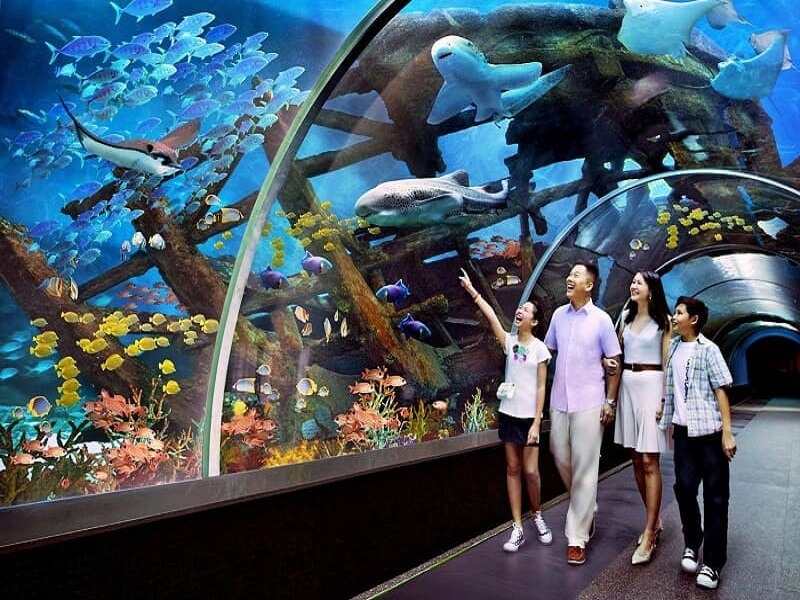 Mường Thanh Luxury Nha Trang - Khách sạn chuẩn 5 sao sang chảnh
