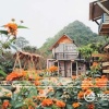 Phố Núi Tình Yêu Mộc Châu