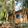 Sapa Jungle Homestay