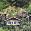 Cú Trên Cây Homestay