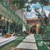 Daisy House Phú Yên