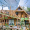 Gỗ Thông Homestay