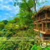 Pù Luông Jungle Lodge