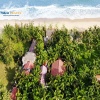 Casa Beach Resort Phan Thiết Bình Thuận